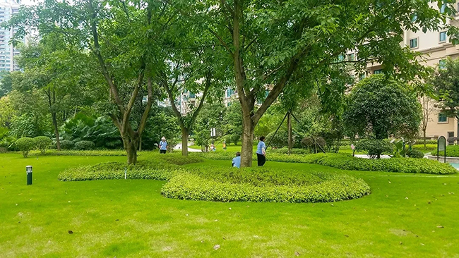 1566957945892398.jpg 32.1.webp.jpg