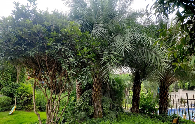 1566958851987482.jpg 48.webp.jpg