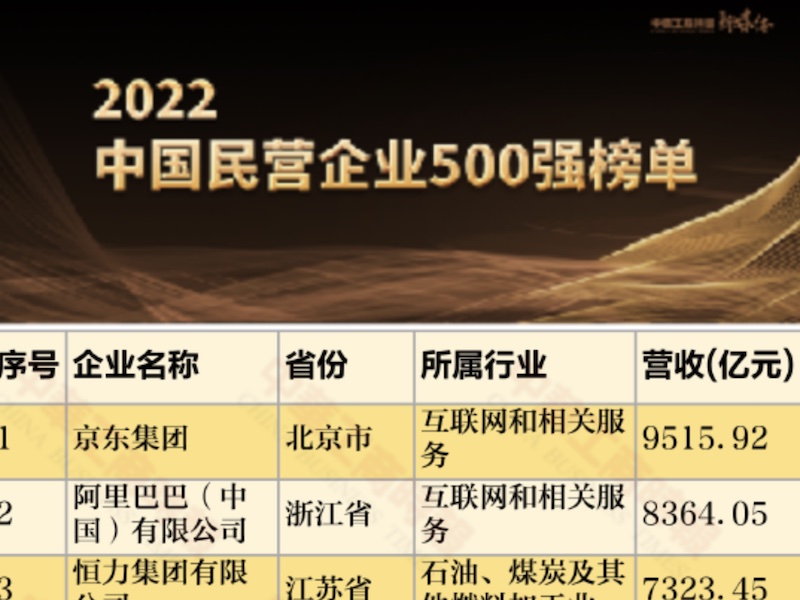 2022中国民营企业500强榜单